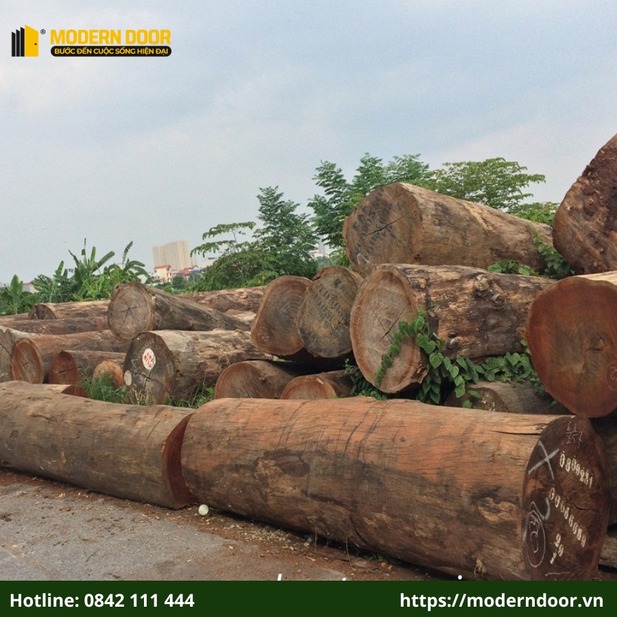 Cửa gỗ Lim Nam Phi được làm hoàn toàn từ gỗ lim tự nhiên
